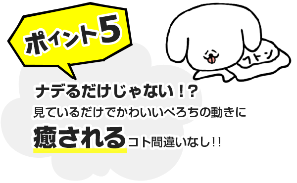 ポイント5　ナデるだけじゃない！？見ているだけでかわいいぺろちの動きに癒されるコト間違いなし！！